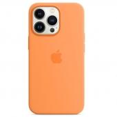 Apple Silicone Case for iPhone 16 Pro Max, Orange (HC) (A)