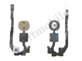 Flat Cable on/off inside Home iPhone 5S